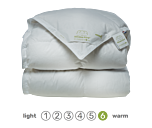 Donsdeken Silvana Pure extra warm (groen)