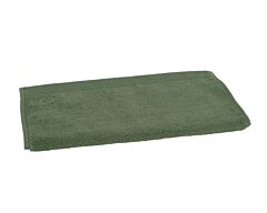 Guest towel Florence 32x50 cm (green 2756)